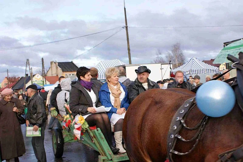 Zdjęcie z galerii