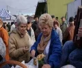Zdjęcie z galerii